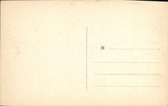 VINTAGE POSTCARD Drill of Fontainebleau the Pond to the Franchard Pigeons