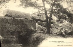 VINTAGE POSTCARD Drill of Fontainebleau Rock of the Sanguinede Fountain