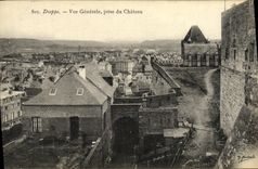 Opinion de Dieppe de la POSTAL de la VENDIMIA tomada del castillo
