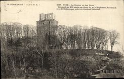 CPA Vire Le Donjon Vu Des Vaux 