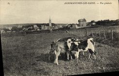 CPA Arromanches Les Bains Vue Generale Vaches