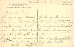 VINTAGE POSTCARD Deauville the Flowered Beach the Pier the Channel Boat