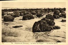 POSTAL Trouville de la VENDIMIA la reina de las rocas negras de las playas
