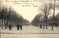 CPA Chatellerault Promenade Blossac