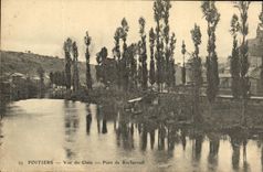 VINTAGE POSTCARD Poitiers Seen of Clain Bridge of Rochereull