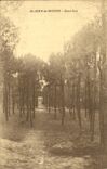 CPA St Jean de Monts Sous Bois