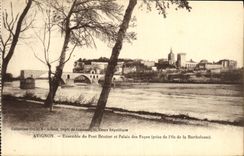 POSTAL Avignon de la VENDIMIA junto del puente de Benezet y del Palais de los papas tomados de L isla de Barthelasse