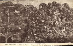 Paladar de Avignon de la POSTAL de la VENDIMIA de los papas Fresco de la torre de Garderobe Osieleur en las ramas