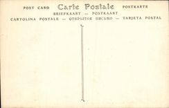 POSTAL Avignon de la VENDIMIA el paladar de los papas y de la catedral