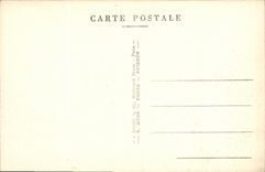 POSTAL Avignon de la VENDIMIA el St Benezet del puente