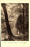 VINTAGE POSTCARD Surroundings Of the Bresse Lake Of the Corbels