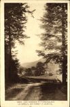 VINTAGE POSTCARD the Vosges Picturesque Breuil Out of Drill D Herival