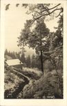 VINTAGE POSTCARD the Vosges