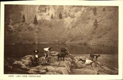 VINTAGE POSTCARD Lake Of the Poles Goats