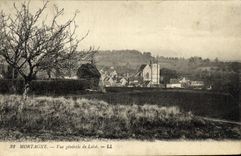 VINTAGE POSTCARD Mortagne View of Loise