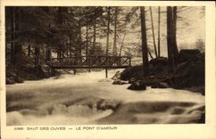 VINTAGE POSTCARD Jump Of the Tanks the Bridge D Love