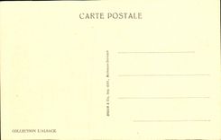 VINTAGE POSTCARD Castle of High Koenigsbourg Considering has Flight D bird