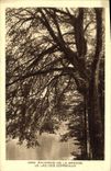 VINTAGE POSTCARD Surroundings of the Bresse the Lake Of Corbels