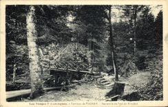 VINTAGE POSTCARD the Vosges Picturesque Surroundings of Vagney Footbridge of the jump of Bonchot