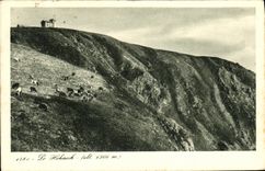 VINTAGE POSTCARD Hohneck