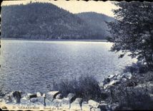 VINTAGE POSTCARD Gerardmer Edge of the Lake