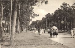 VINTAGE POSTCARD Sands D Olonne Avenue of the Casino of the Pines