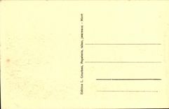 VINTAGE POSTCARD Niort Public garden of the Keep