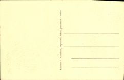 VINTAGE POSTCARD Niort Escaillers of the Garden of the Breach