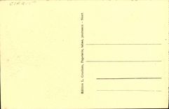 VINTAGE POSTCARD Niort Places Breach View