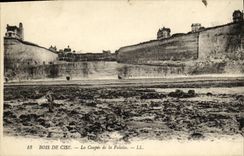 VINTAGE POSTCARD Wood De Cise Coupee of Cliff