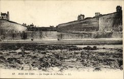 VINTAGE POSTCARD Wood De Cise Coupee of Cliff