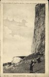 VINTAGE POSTCARD Wood De Cise Cliffs Towards Ault