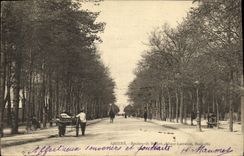 VINTAGE POSTCARD Amiens Boulevards Beffort Alsace Lorraine Beauville