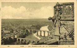 Canerias del humo de Albi de la POSTAL de la VENDIMIA de la catedral