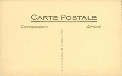 POSTAL Albi de la VENDIMIA la catedral Sainte Cecile Stalles