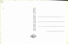 CPM Gonfaron Souvenir Cheval aile 