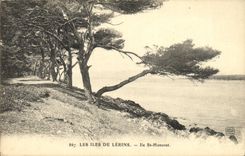 VINTAGE POSTCARD the Islands De Lerins Island St Honorat