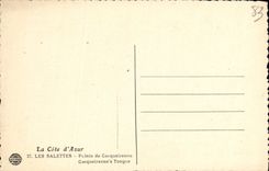 VINTAGE POSTCARD Salettes Top of Carquiranne