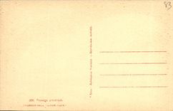 CPA Paysage provencal