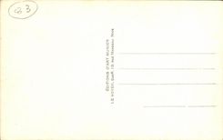 VINTAGE POSTCARD Frejus the arena Romans