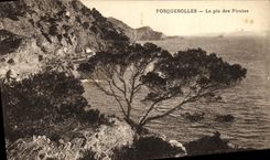 CPA Ile Porquerolles Le Pin des Pirates