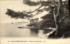 CPA Ile De Porquerolles La Plage dei Faoucado