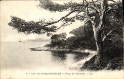 CPA Ile De Porquerolles Plage dei Faoucado