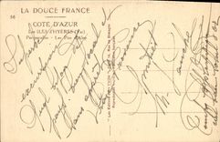 CPA Iles d Hyeres Porquerolles Les Pins d Alep