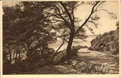 Isla de la POSTAL de la VENDIMIA de la comuna portuaria D Hyeres de la raza a campo traves un torneado del camino del acantilado