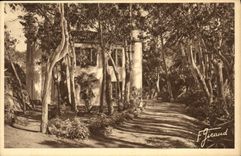 Isla de Hyeres de la POSTAL de la VENDIMIA de la comuna portuaria de la raza a campo traves el castillo del senorio de Jean D Agreve y