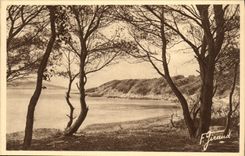 CPA Hyeres Ile de Port Cros Commune La Plage d Argent ou du Sud