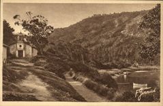 Isla de Hyeres de la POSTAL de la VENDIMIA de la comuna portuaria L iglesia L eucalipto de la raza a campo traves de la gama D del senorio