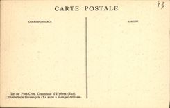 CPA Hyeres Ile de Port Cros Commune d Hyeres L hostellerie provencale La salle a manger terrasse