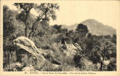CPA Hyeres Sur la Route du Fenouillet Vue vers la Colline